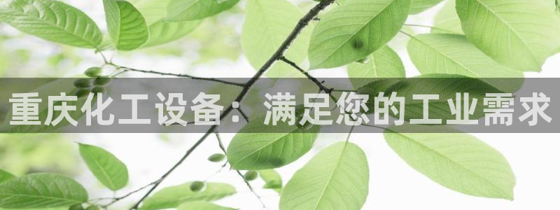 新宝gg平台注册官网