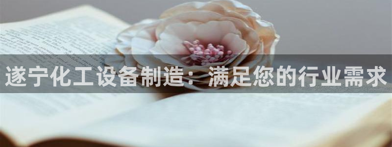 新宝gg怎么登录不上去了了