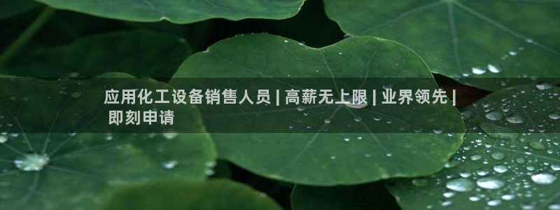 新宝gg―创造奇迹登录平台