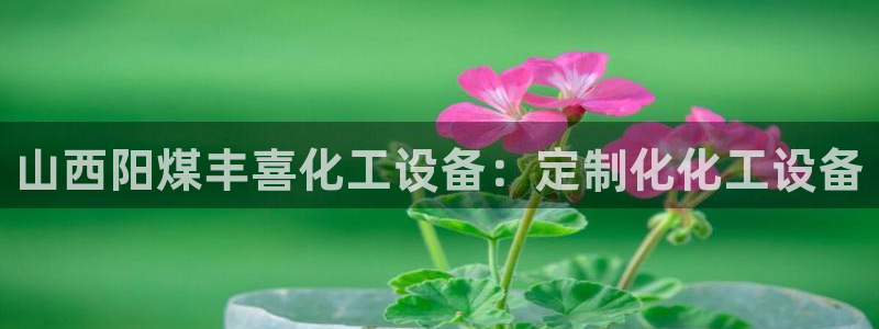 新宝gg注册平台