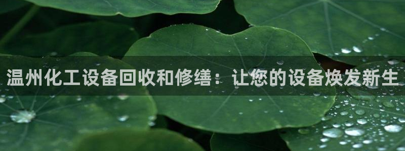 新宝gg创造奇迹为什么登录不了了