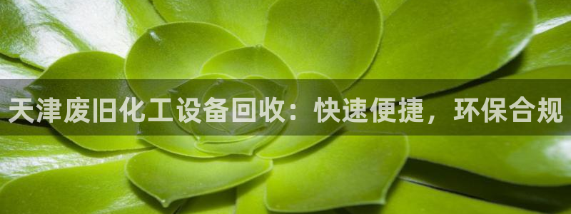 新宝gg官网登录地址