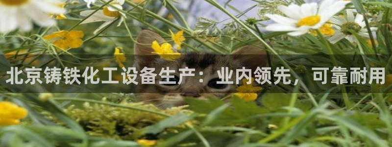 新宝gg注册平台