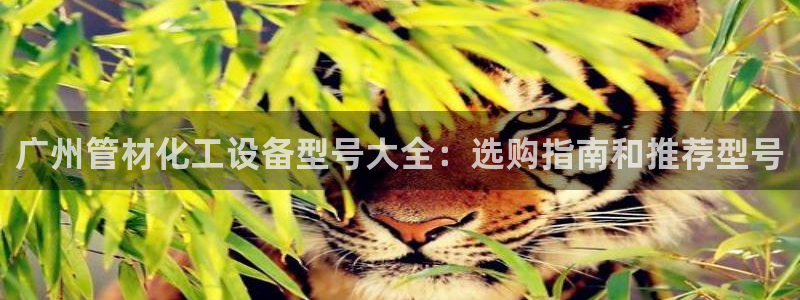 新宝gg一创造奇迹