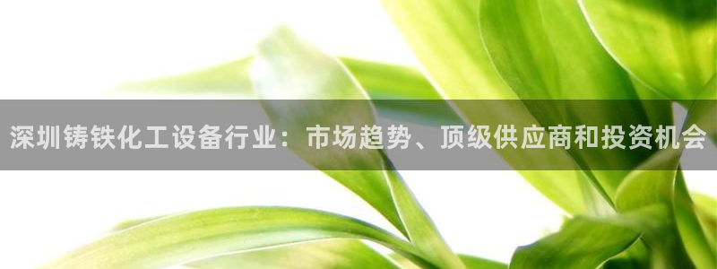 新宝gg平台登录手机版