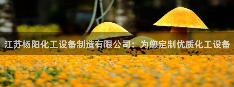 新宝gg一创造奇迹代理