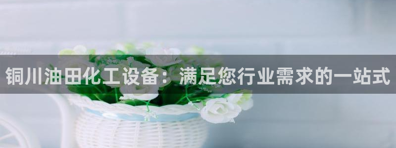 新宝gg平台注册登录指南