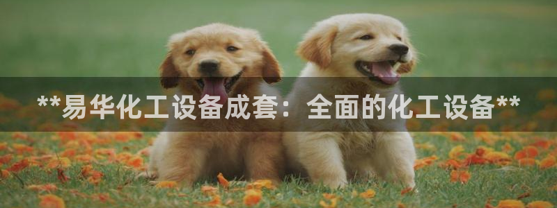 新宝gg创造奇迹登录最简单三个步骤