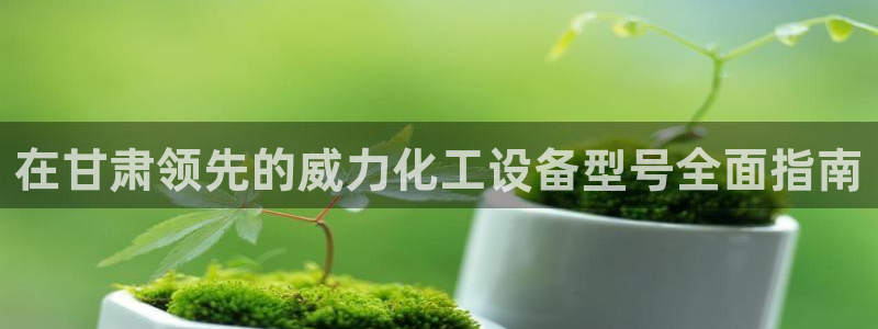 新宝gg平台—创造奇迹登录首页