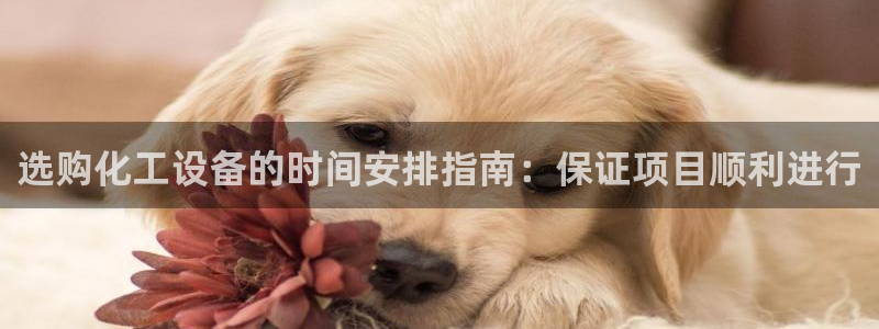新宝gg创造奇迹官网