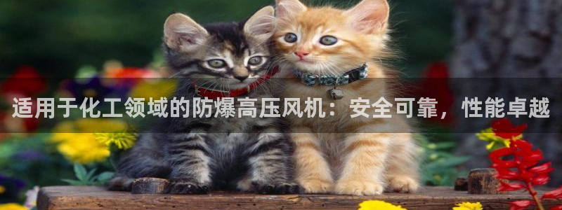 新宝gg一创造奇迹登