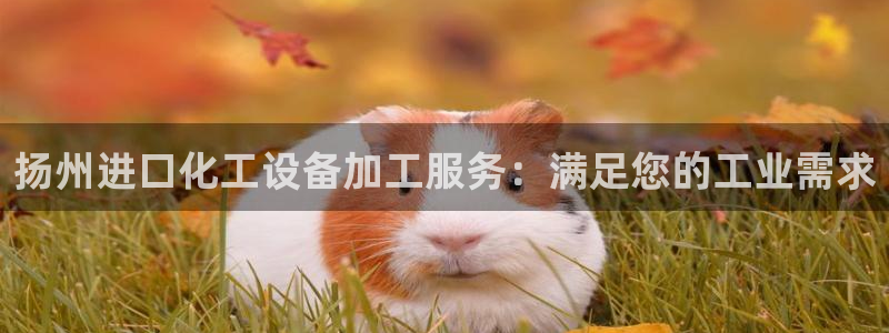 新宝gg创造奇迹登录注册玩法