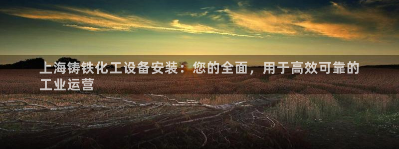 新宝GG平台德711.112如何处理