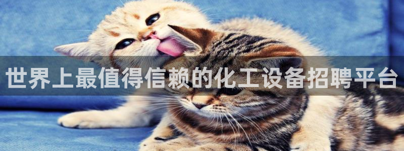 新宝gg创造奇迹官方登录注册入口