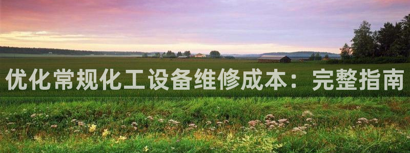 新宝gg平台注册登录指南