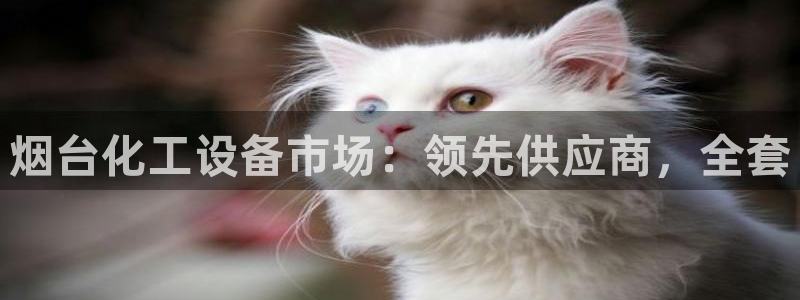 新宝gg创造奇迹平台登录入口