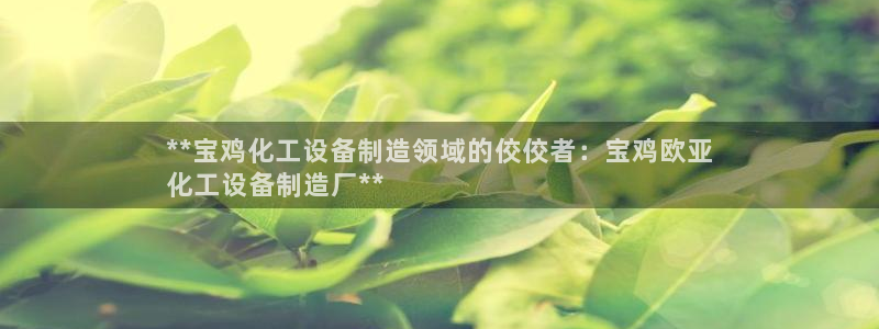 新宝gg一创造奇迹登录龙,虎,和
