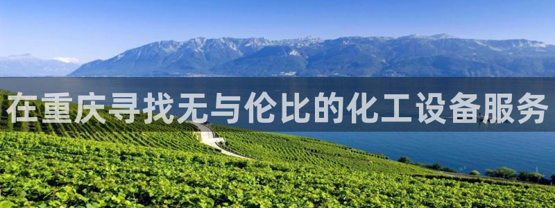 新宝gg平台注册登录指南