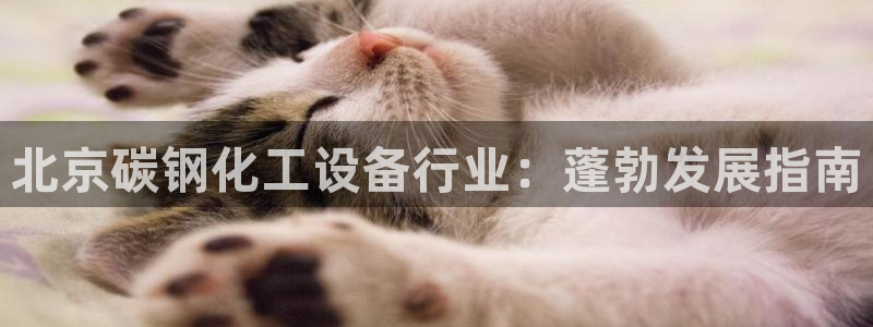 新宝GG平台负责人