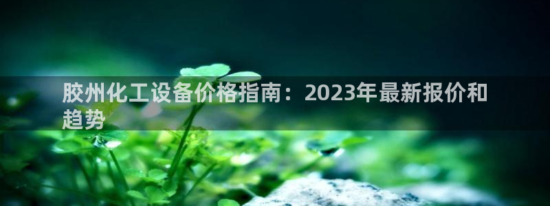 新宝gg为什么登不上去了