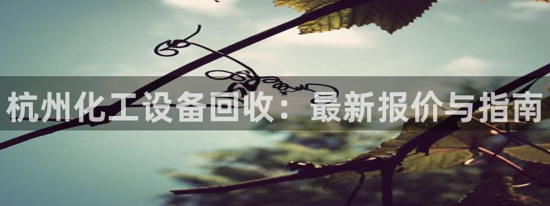 新宝GG平台招商