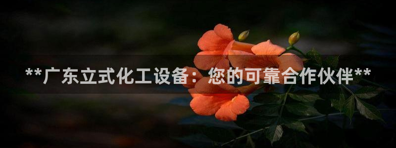 新宝GG平台注册开户