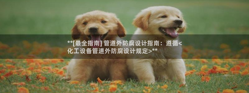 新宝gg一创造奇迹