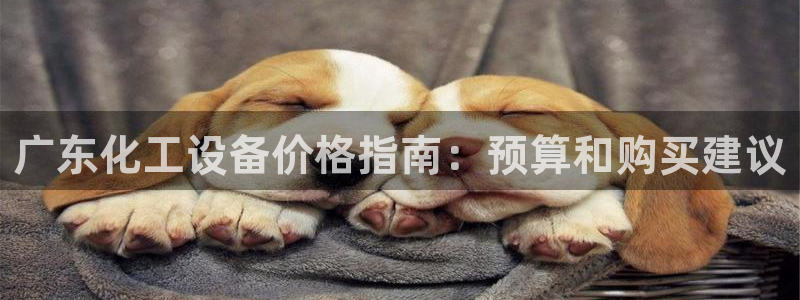 新宝gg平台注册登录指南