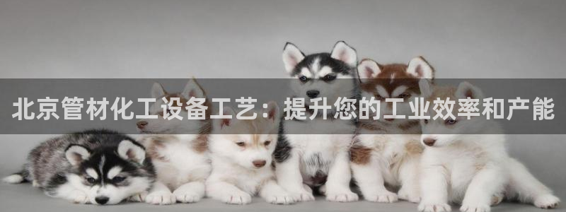 新宝gg登录了还能上吗