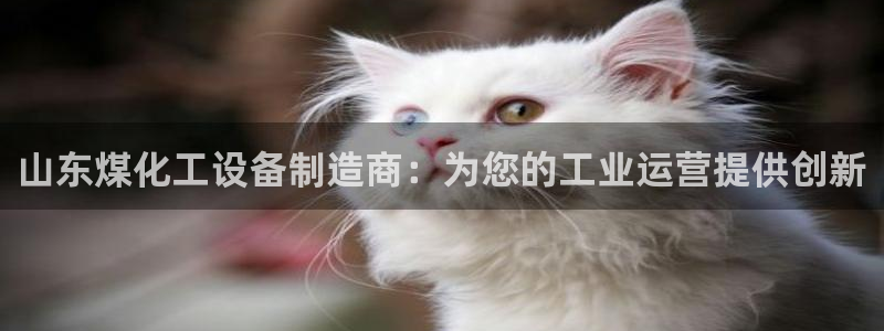新宝gg平台注册官网
