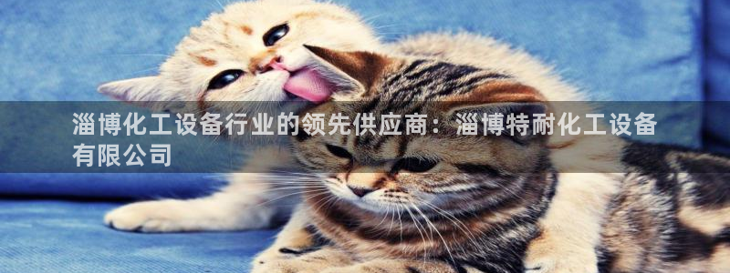 新宝gg创造奇迹官方登录入口