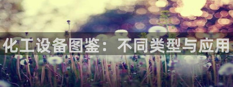 新宝gg奇迹登录怎么登录不了