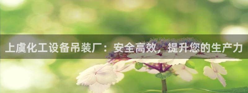 新宝gg一创造奇迹