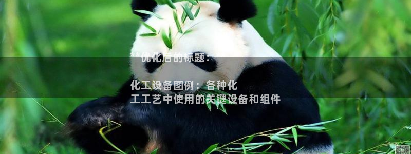 新宝gg官网登录代理