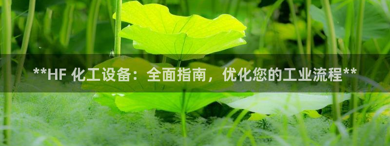 新宝gg官网客户端下载