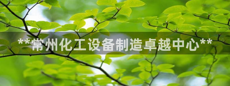 新宝gg登录入口