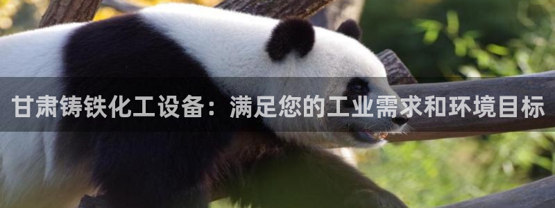 新宝gg怎么登录不了了