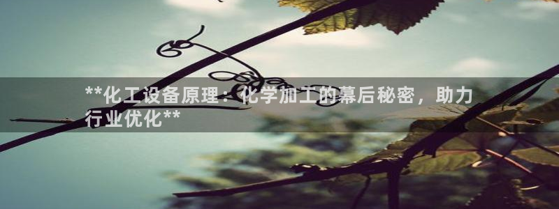 新宝gg最新更新内容与历史回顾：**化工设备原理：