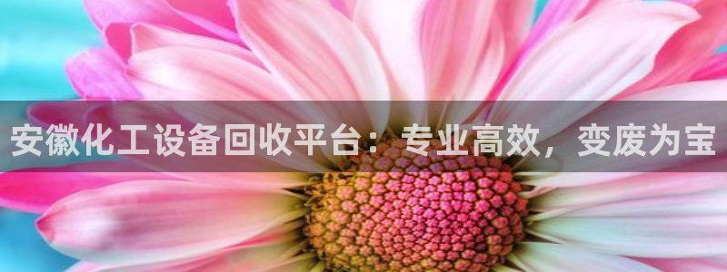 新宝gg官网最新版本更新内容介绍