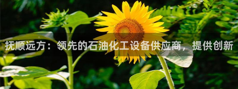新宝gg怎么退钱