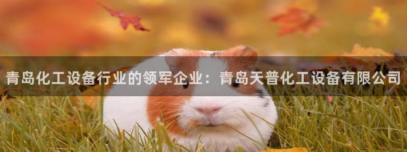 新宝GG创造奇迹客服怎么联系