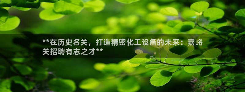 新宝gg登录不上去了