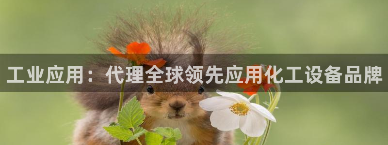 新宝GG平台登录注册
