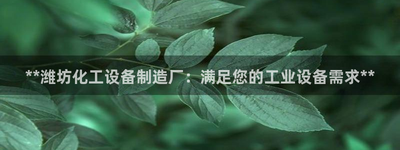 新宝gg怎么登录不上去了了：**潍坊化工设备制造厂