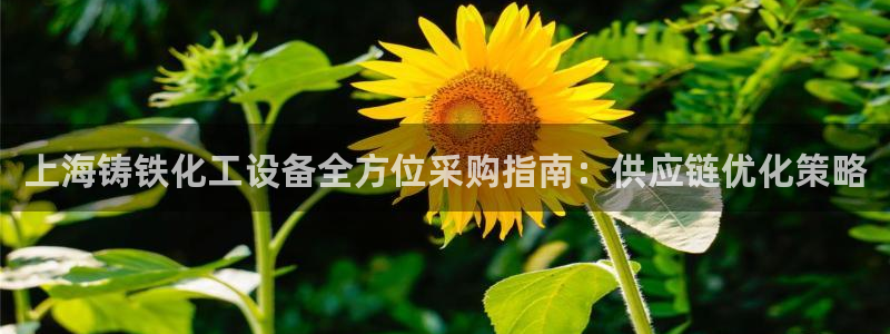 新宝gg登录不上去了了