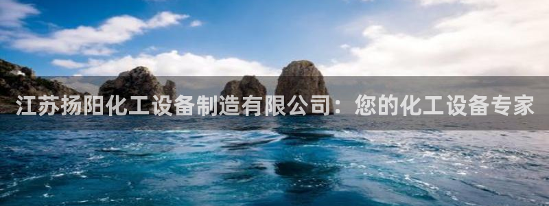 新宝GG平台负责人：江苏扬阳化工设备制造有限公司：