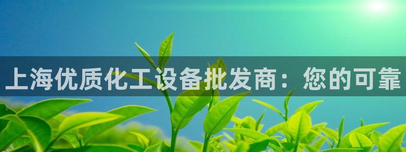新宝gg创造奇迹代理