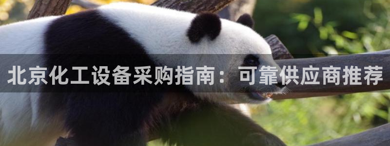 新宝gg一键登录：北京化工设备采购指南：可靠供应商