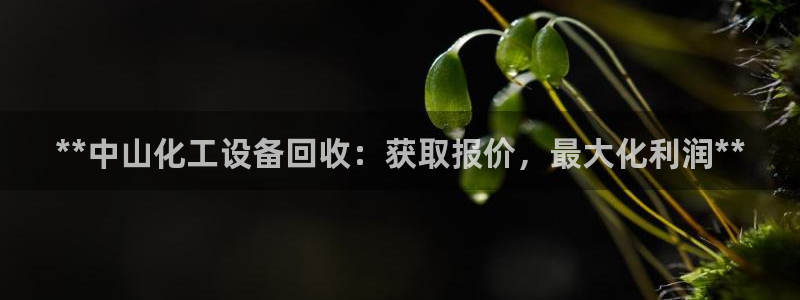 新宝gg平台注册?