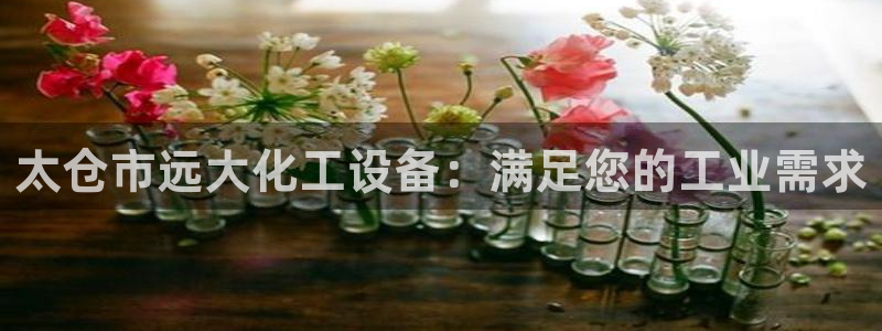 新宝gg